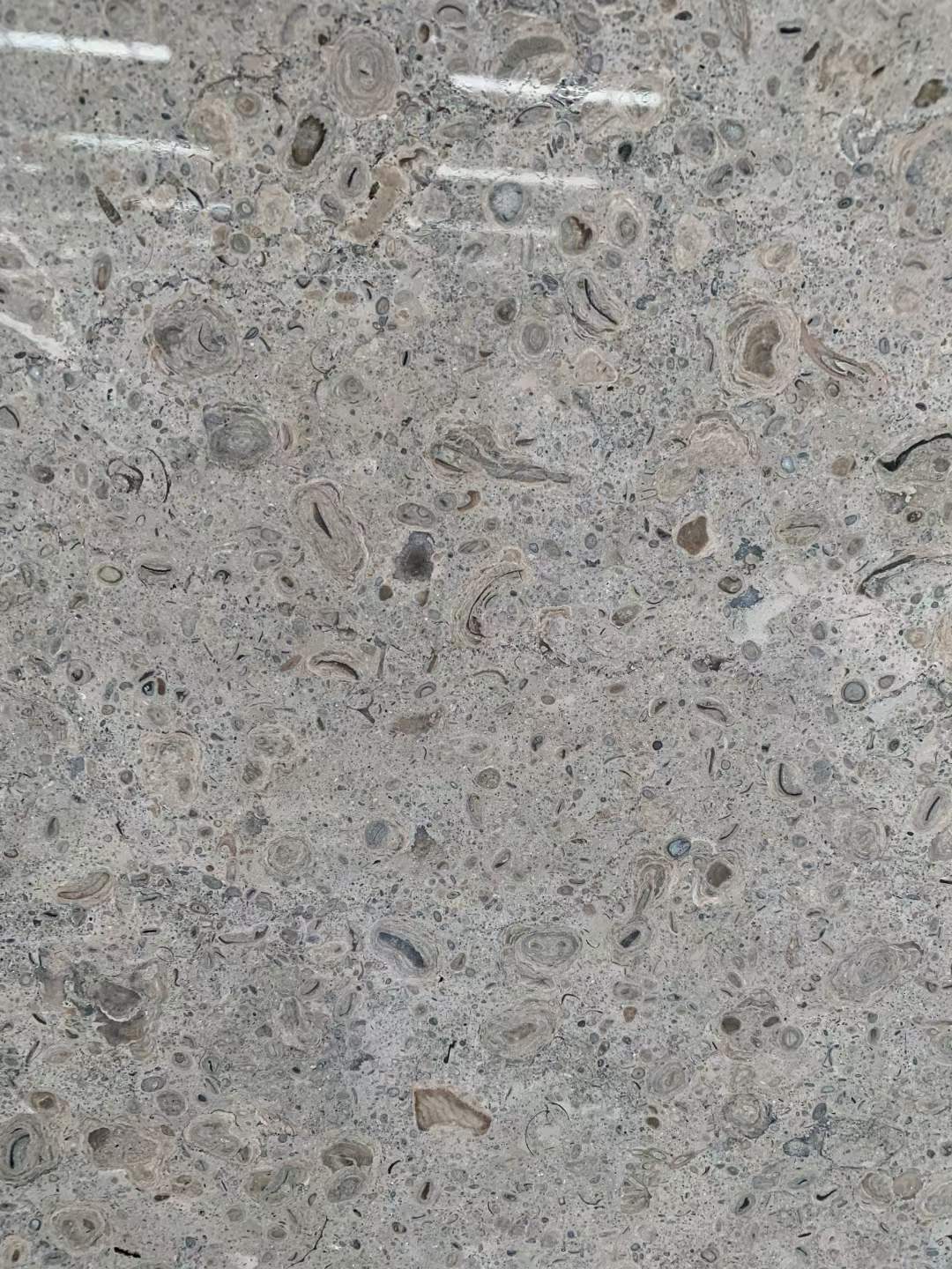 加斯科(kē)尼藍(lán) (6).jpg