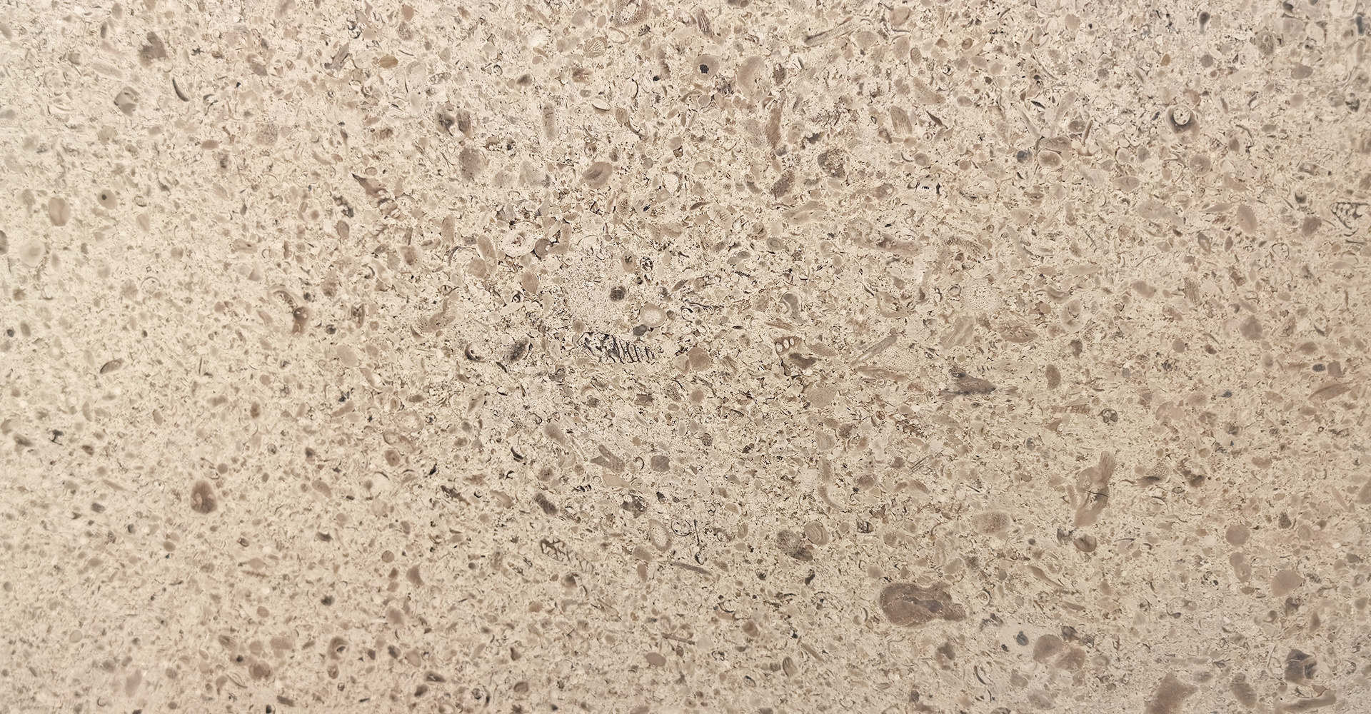 葡萄牙米黃(huáng)(大(dà)花(huā)）