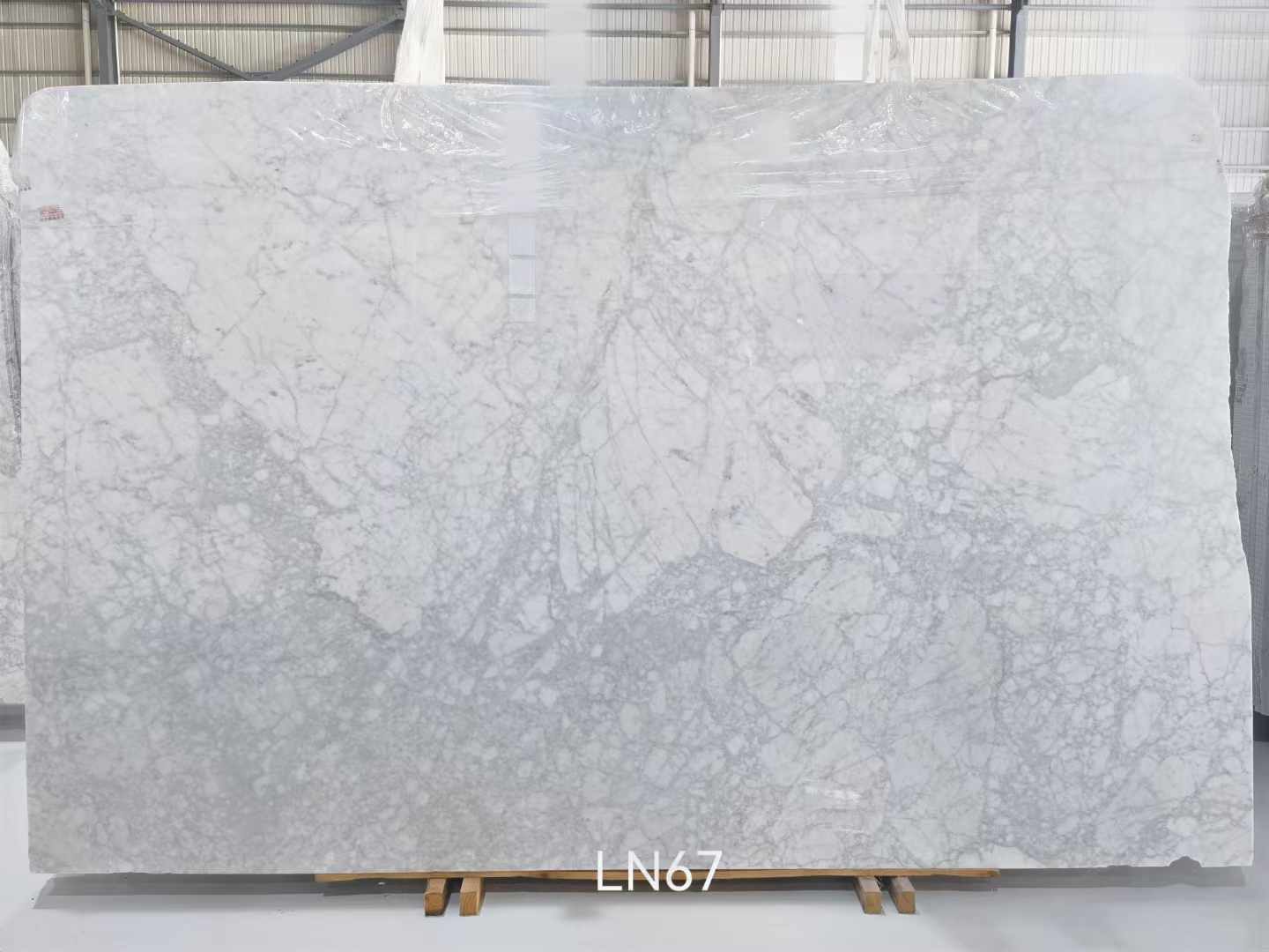 卡拉拉白(bái) (7).jpg