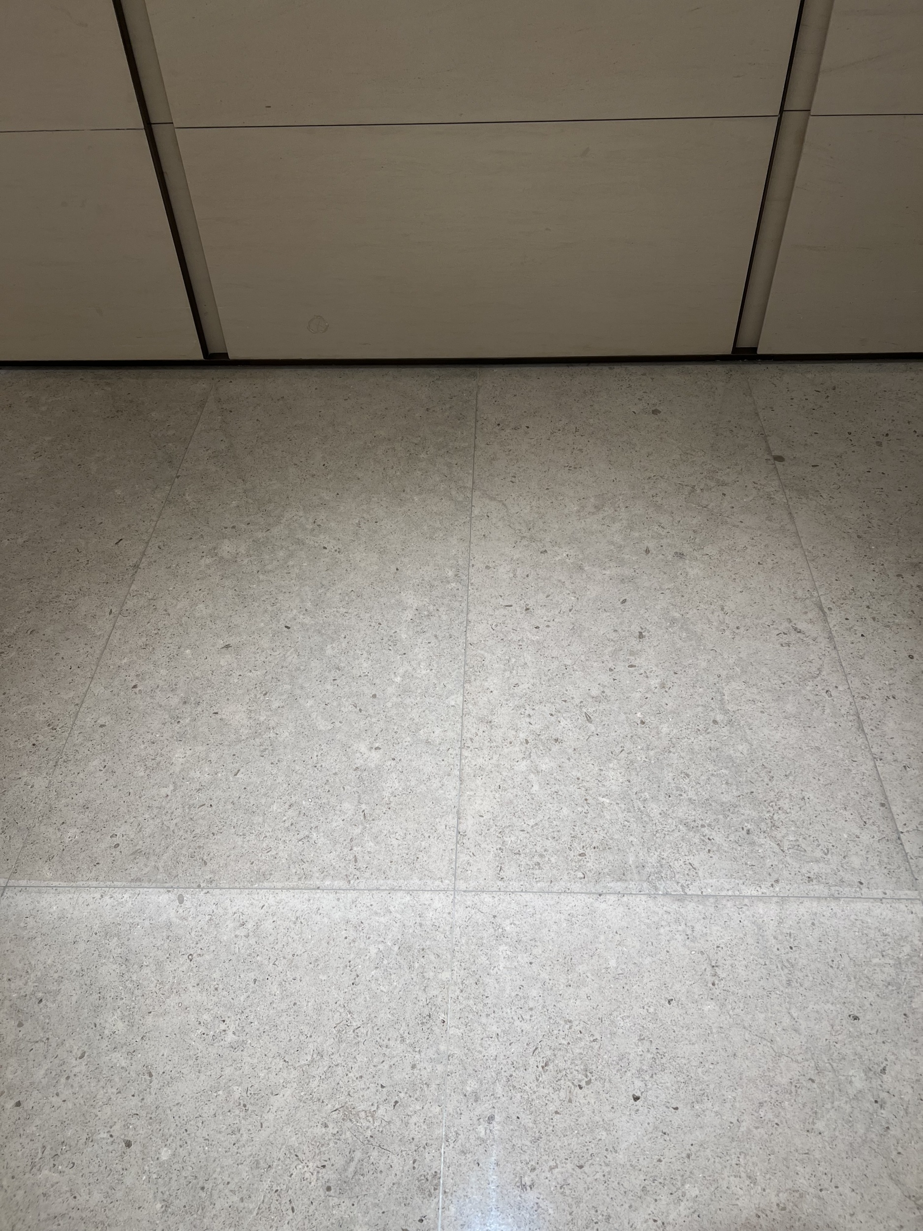 加斯科(kē)尼藍(lán) (2).jpg