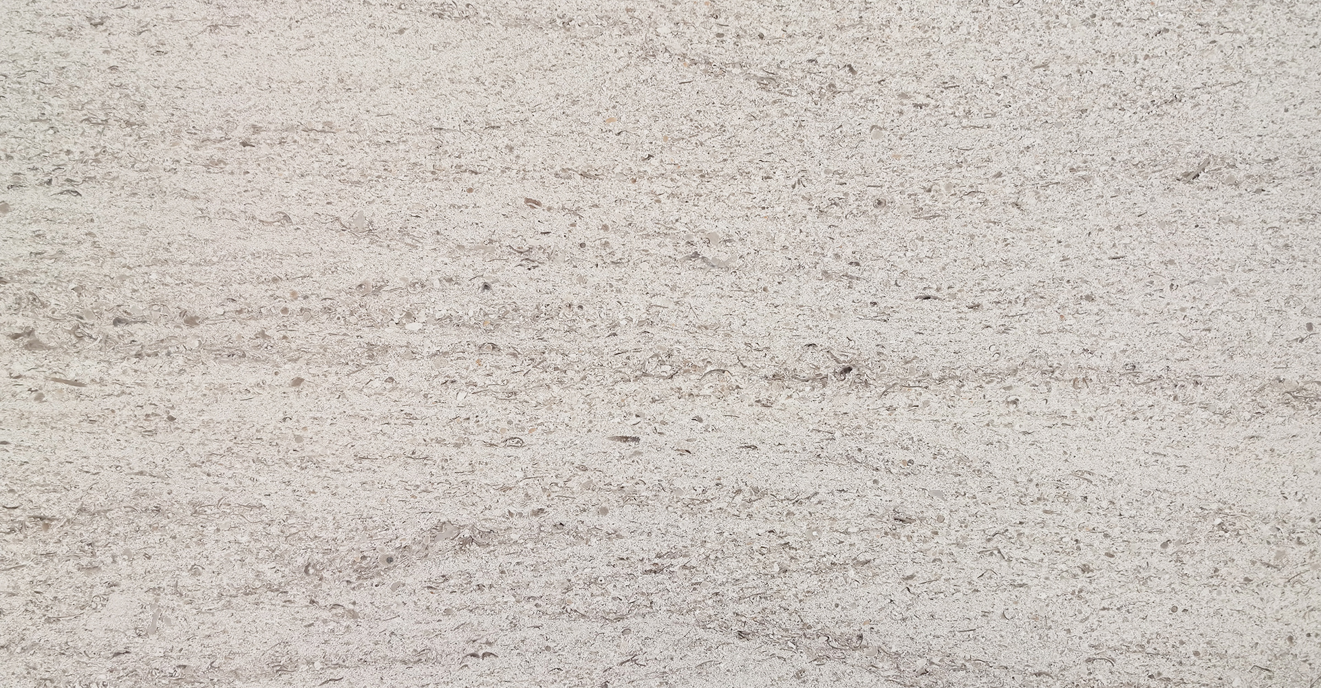 木(mù)化(huà)石（中紋）