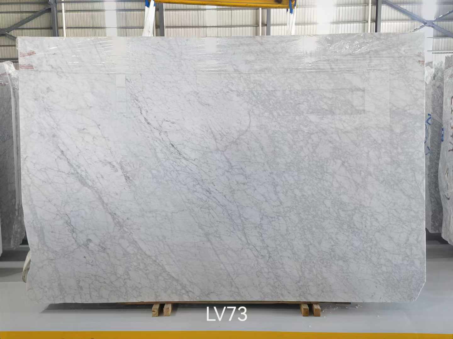 卡拉拉白(bái) (6).jpg