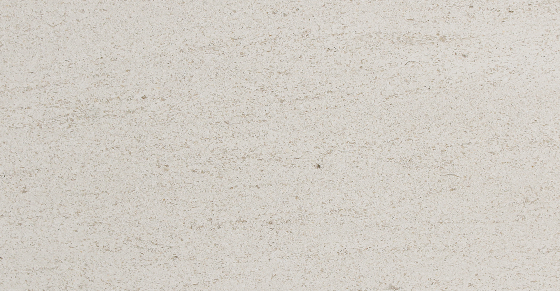 木(mù)化(huà)石（細紋）